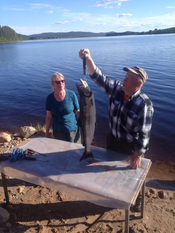 Arctic Camping Finland Pello Zewnętrze zdjęcie